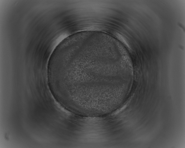 X0000093121087200710171240