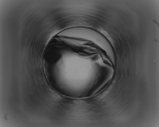 X0000093121089200710171240