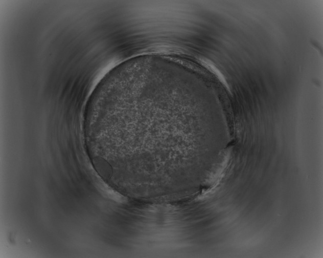 X0000093121091200710171240