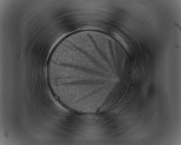 X0000093121092200710171240