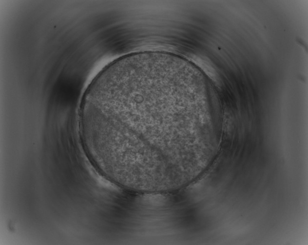 X0000093121094200710171240