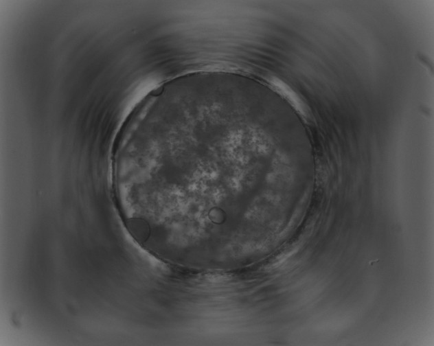 X0000093121095200710171240