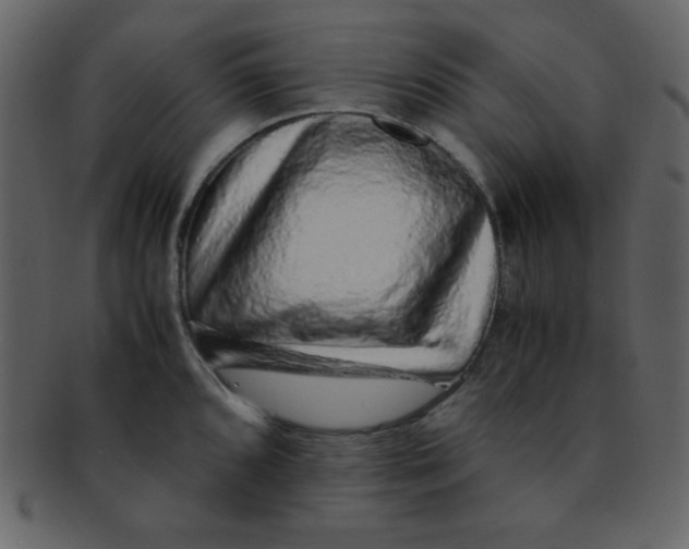 X0000093121096200710171240