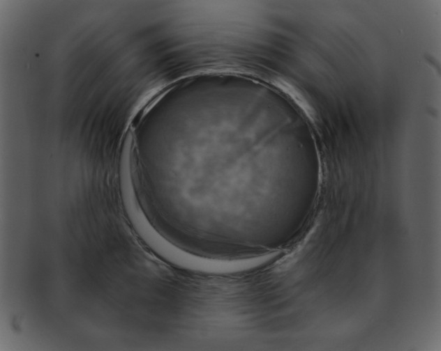 X0000093121097200710171240