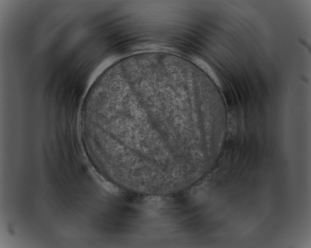 X0000093121098200710171240