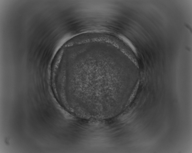 X0000093121099200710171240