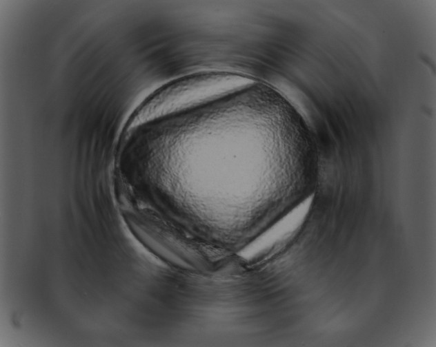 X0000093121100200710171240