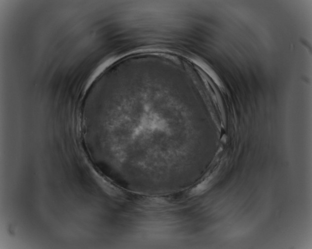 X0000093121101200710171240