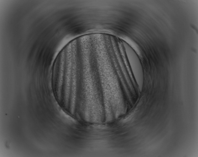 X0000093121102200710171240