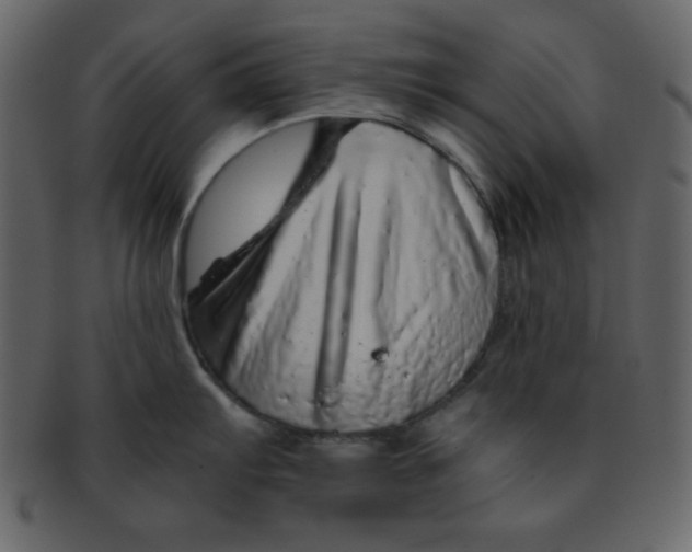 X0000093121103200710171240