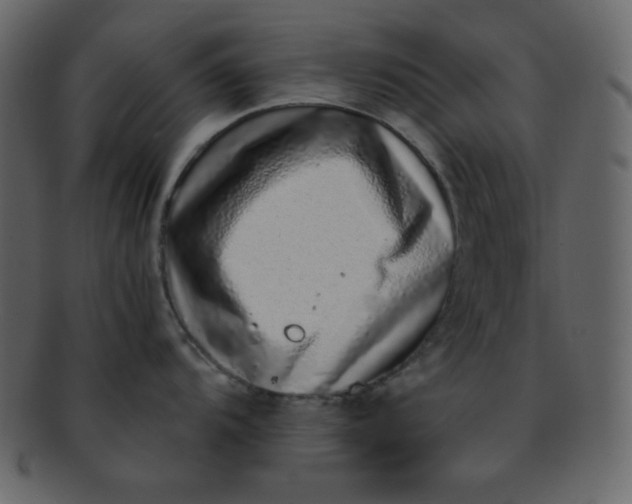 X0000093121104200710171240