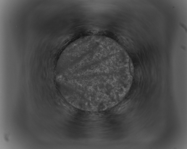 X0000093121105200710171239