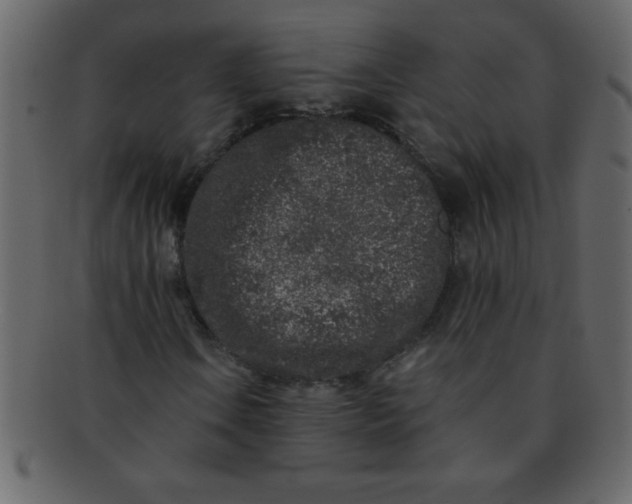 X0000093121106200710171239