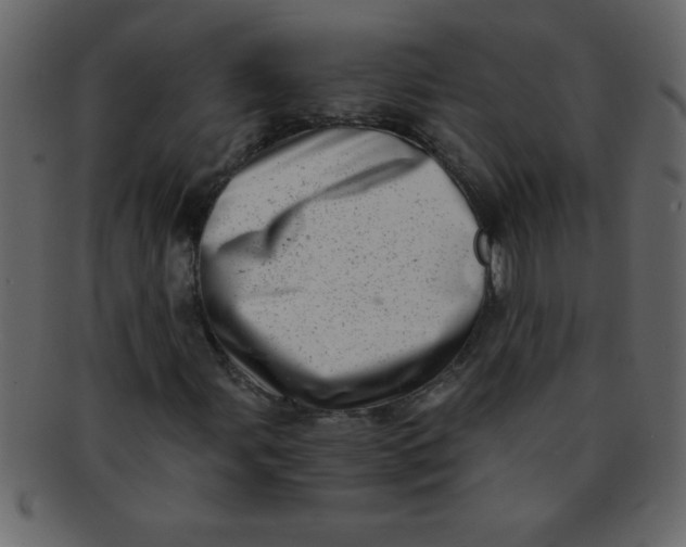 X0000093121107200710171239