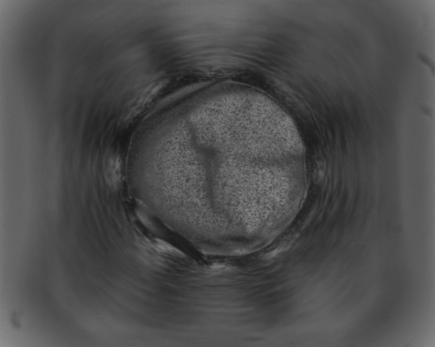 X0000093121108200710171239