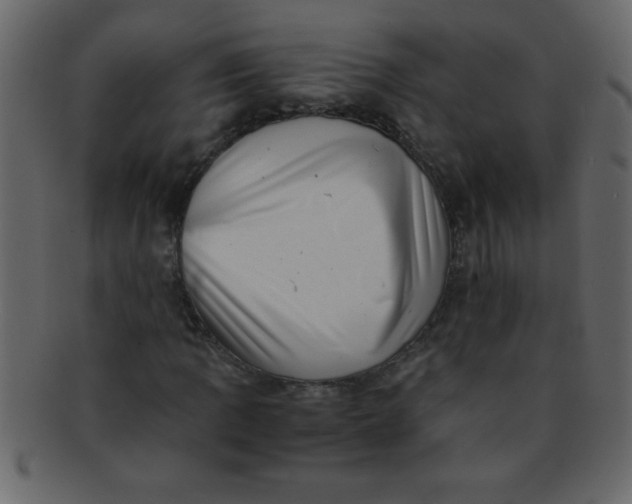 X0000093121109200710171239