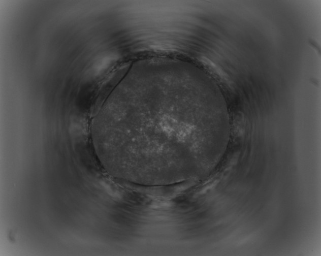 X0000093121110200710171239