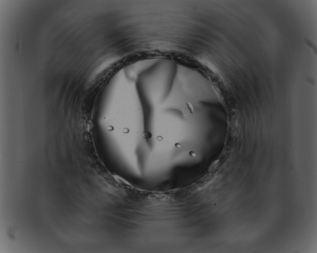 X0000093121112200710171239