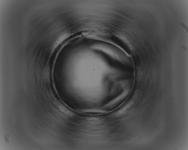 X0000093121114200710171239