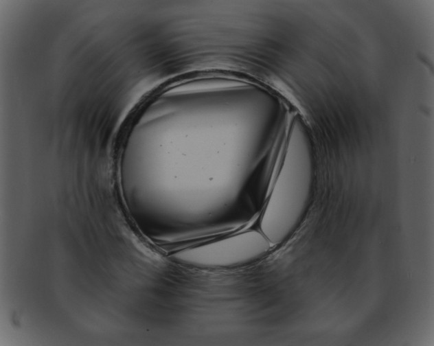 X0000093121116200710171239