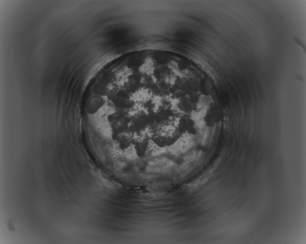 X0000093121117200710171239