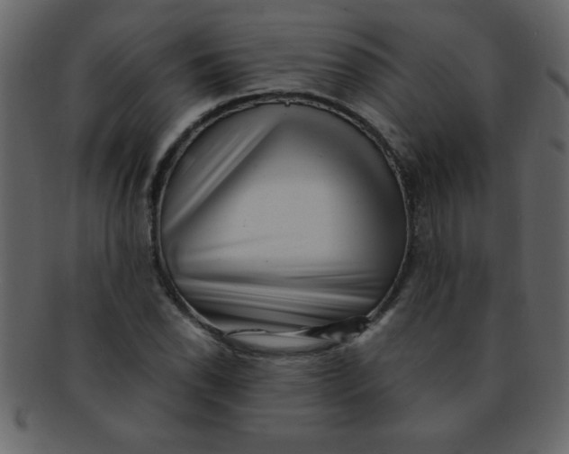 X0000093121118200710171239