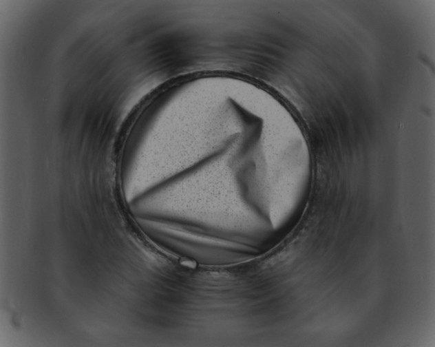 X0000093121119200710171239