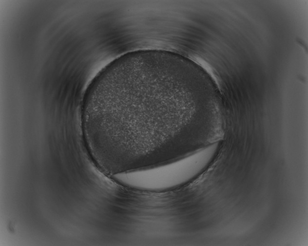 X0000093121120200710171239