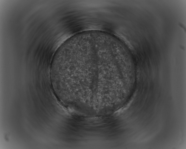 X0000093121121200710171239