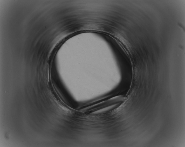 X0000093121123200710171239