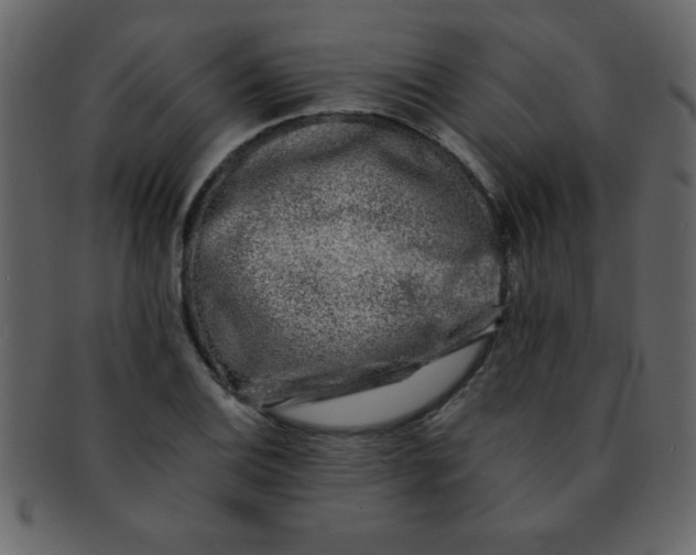 X0000093121124200710171239