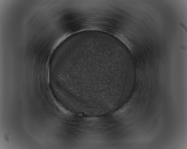 X0000093121127200710171240