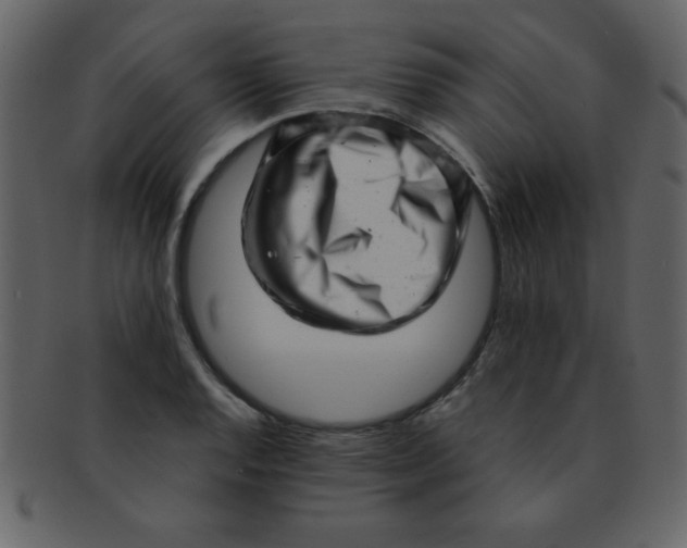 X0000093121128200710171240