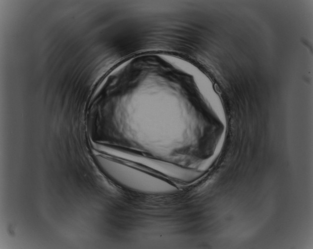 X0000093121129200710171240