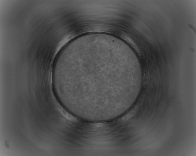 X0000093121130200710171240