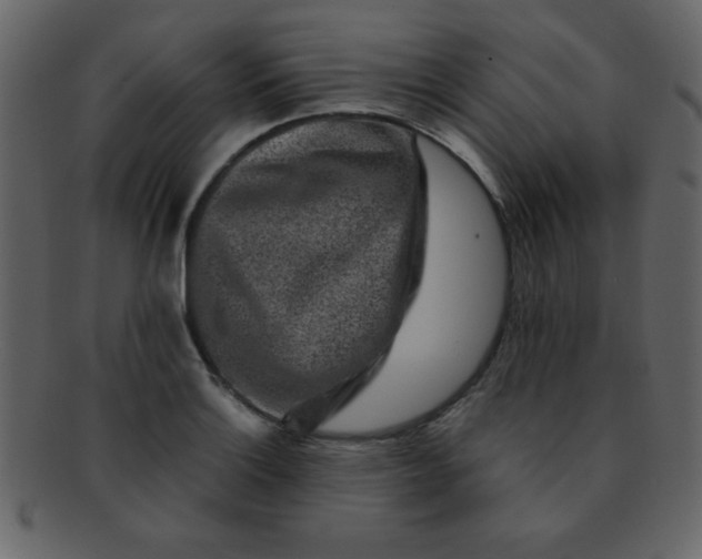 X0000093121132200710171240