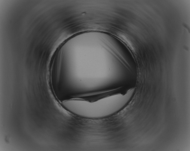 X0000093121136200710171240