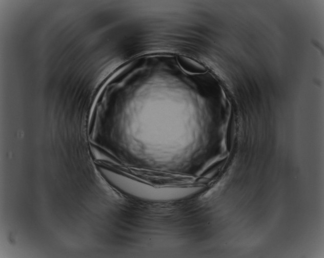 X0000093121137200710171240