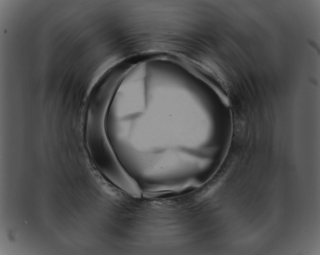 X0000093121138200710171240