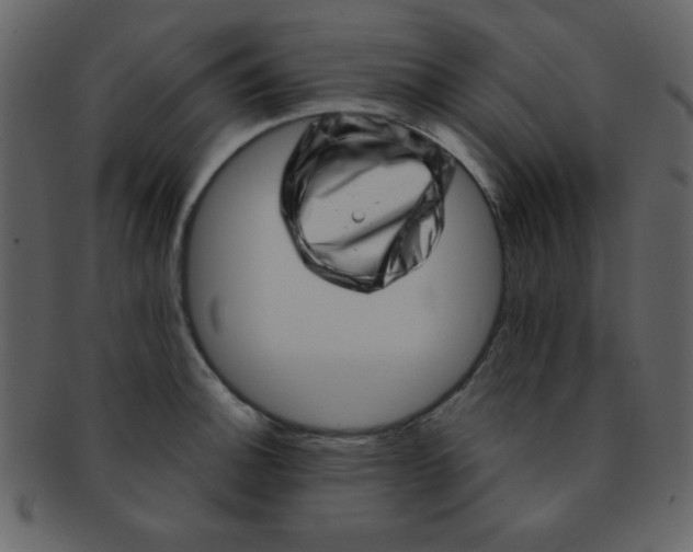 X0000093121140200710171240