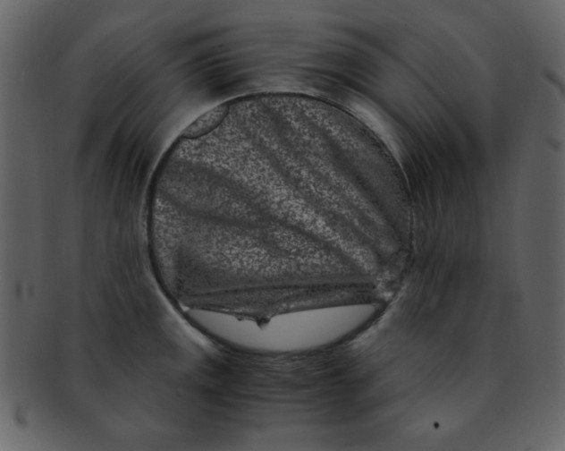 X0000093121141200710171240