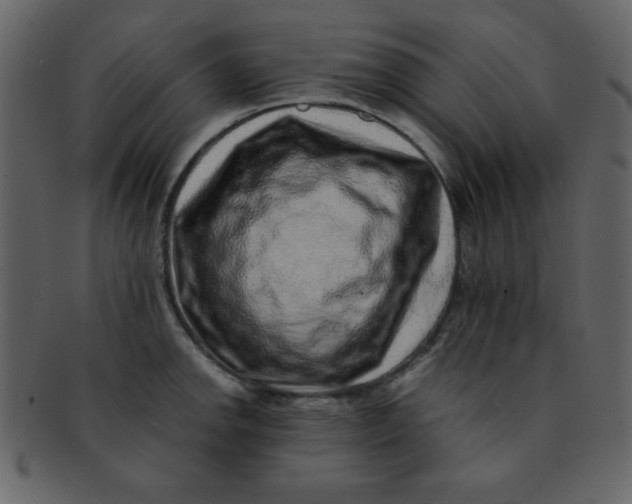 X0000093121142200710171240