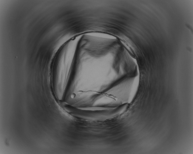 X0000093121143200710171240