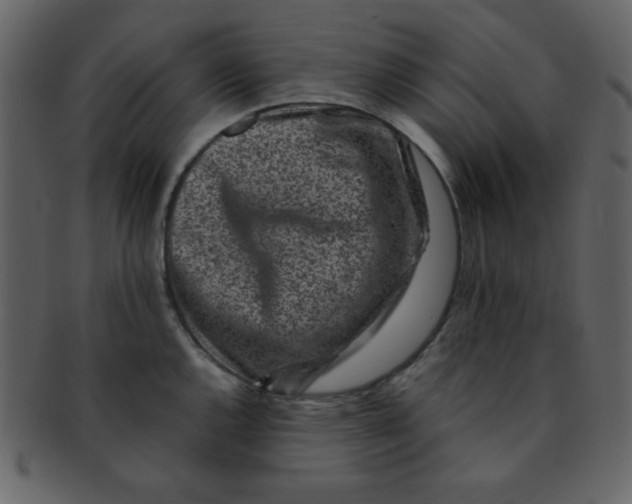 X0000093121144200710171240