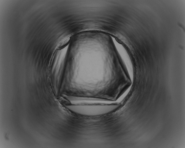 X0000093121145200710171240