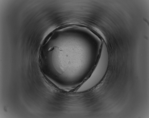 X0000093121146200710171240