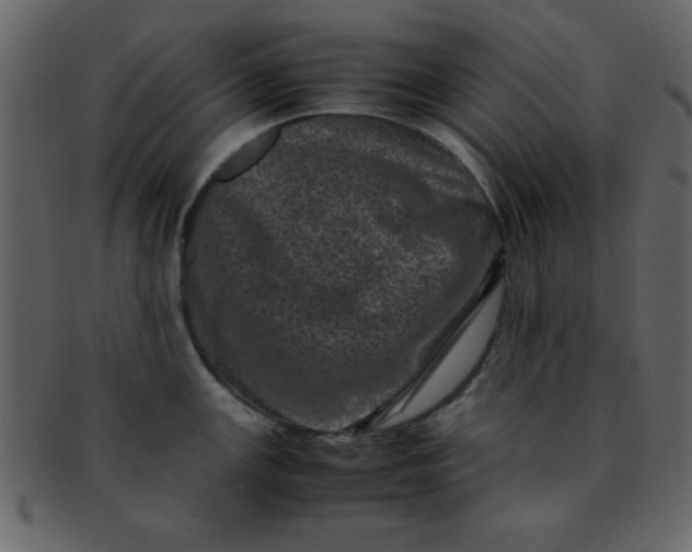 X0000093121147200710171240