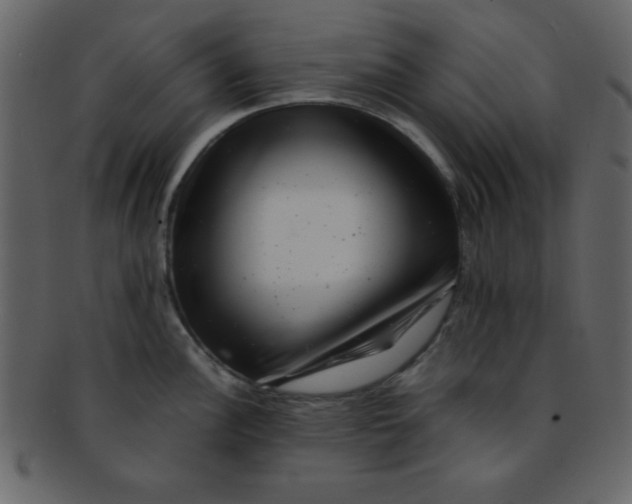 X0000093121148200710171240