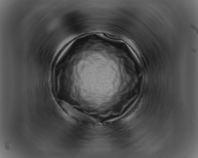 X0000093121149200710171240