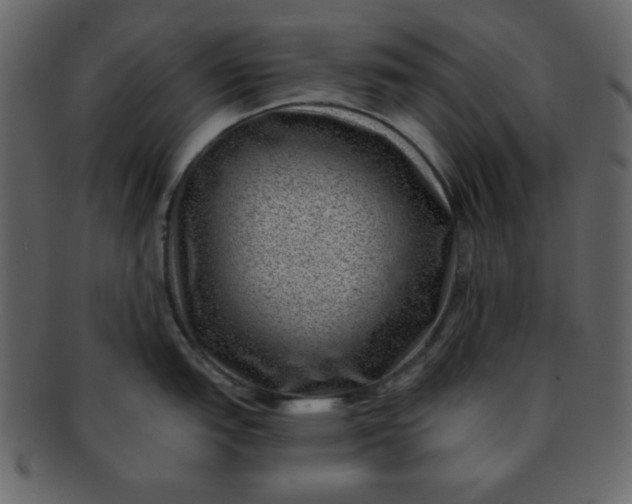 X0000093121151200710171240